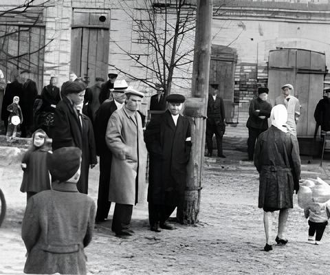 Фотографии.