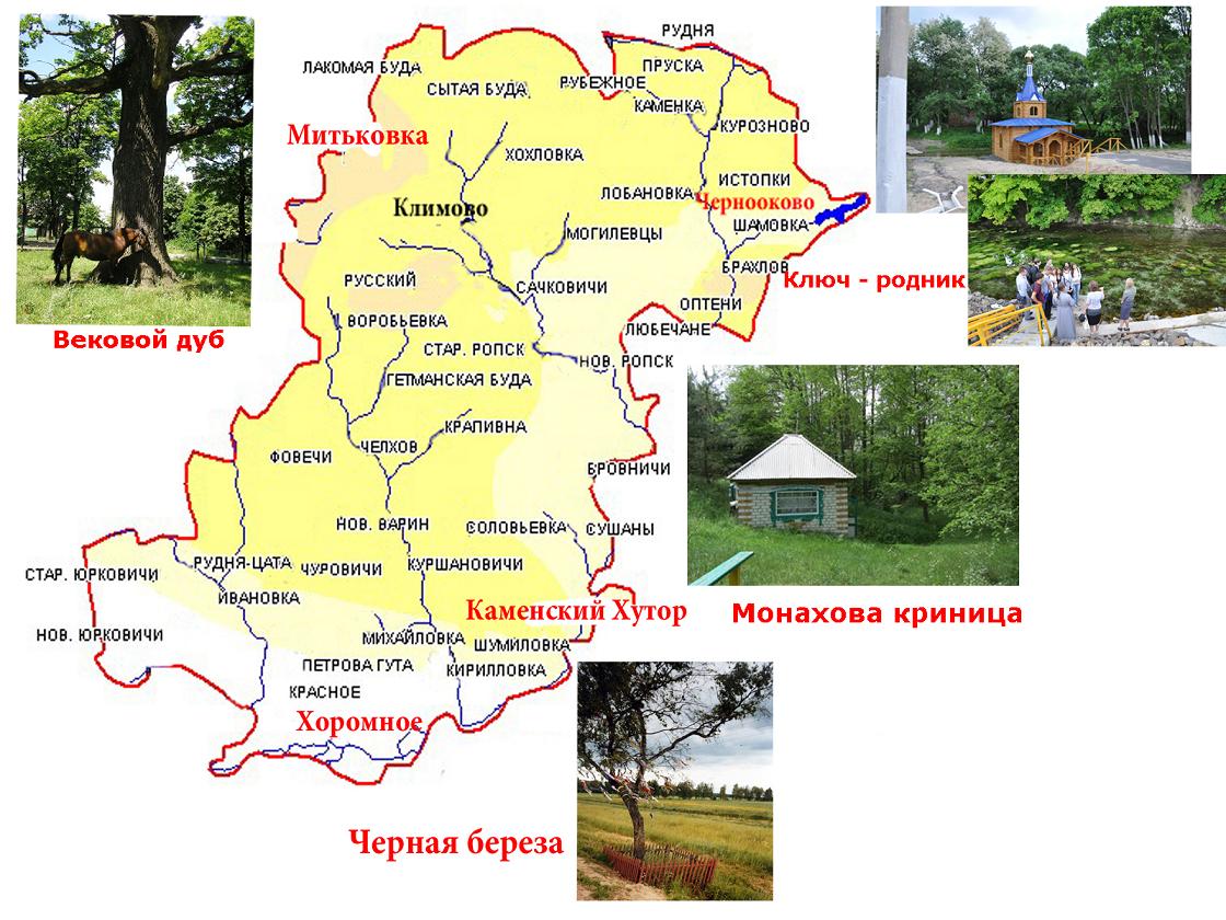 Фотографии.